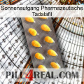 Sunrise Pharmaceutical Tadalafil cialis1